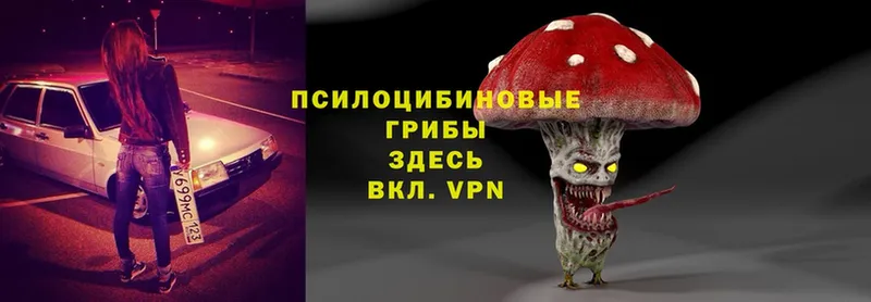 сколько стоит  сайты даркнета как зайти  Галлюциногенные грибы Psilocybine cubensis  Шарыпово 